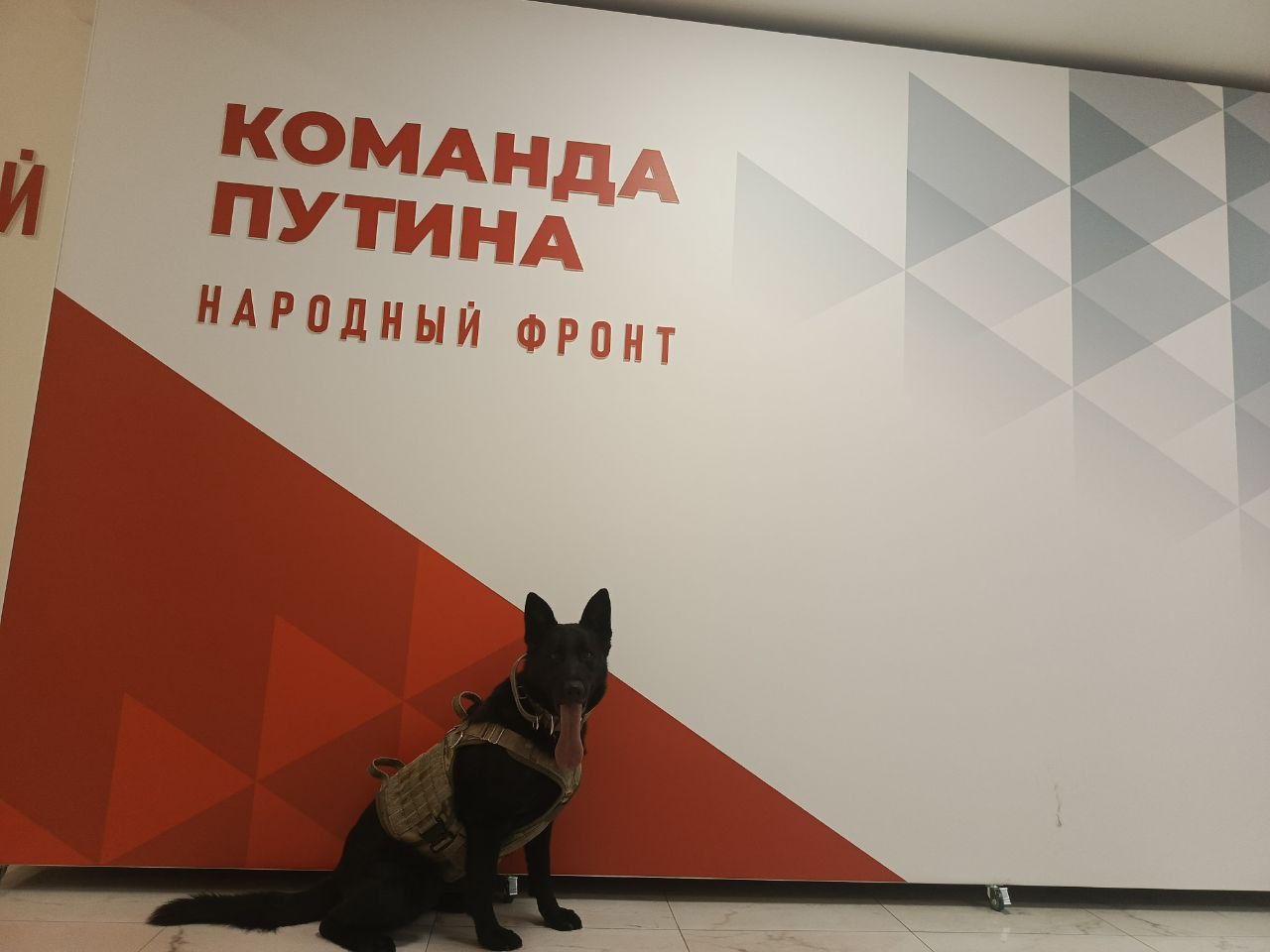 Что включает в себя официальный акт обследования объекта